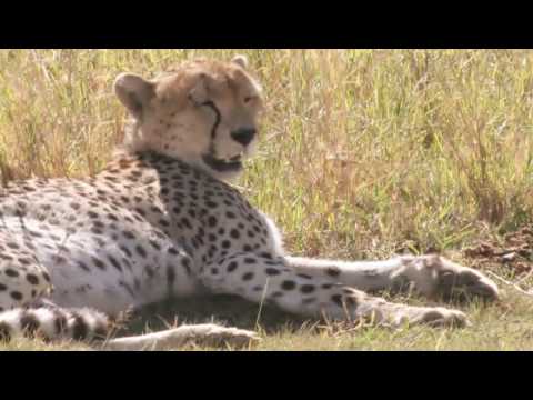 afbeelding A PLACE WITHOUT PEOPLE -trailer