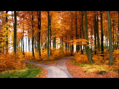 download lagu mp3 mp4 Lær Mig O Skov At Visne Glad, download lagu Lær Mig O Skov At Visne Glad gratis, unduh video klip Lær Mig O Skov At Visne Glad