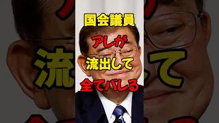 国会議員、あれが流出して全てバレる #政治 #税金 #自民党 #石破 #財務省 ＃shorts