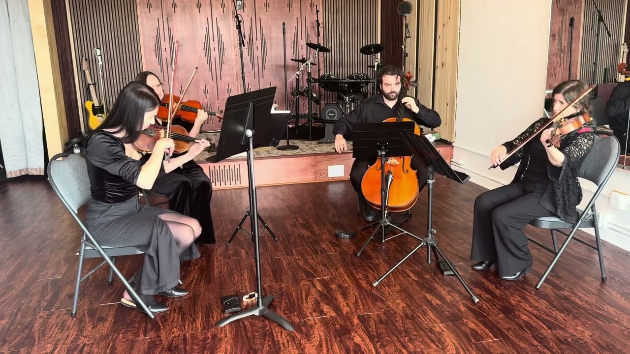 Promotional video thumbnail 3 for Viva La Vida String Quartet LLC