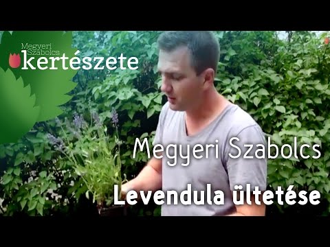 Ízületi szkenner kezelésére