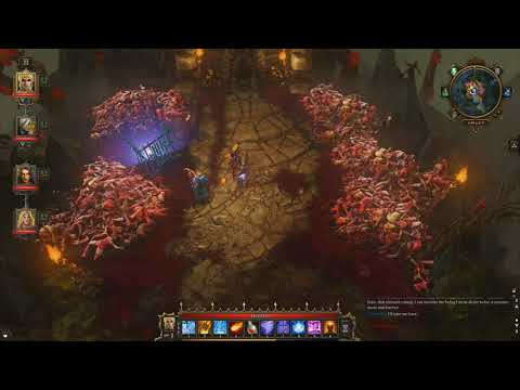 Divinity: Original Sin Enhanced Edition Coop with Arockslife Part 81
