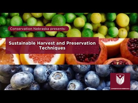 Eco Friendly Canning: A Sustainable Food Preservation Method