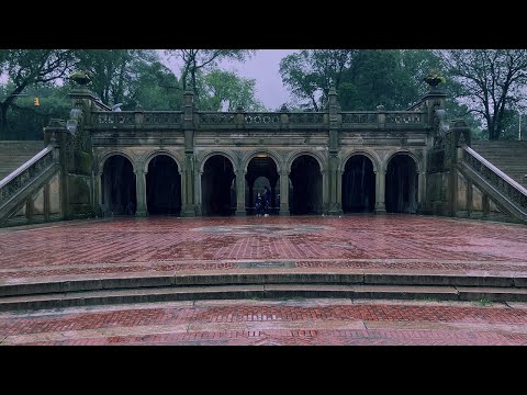 Rainy Walk through Central Park, New York. Rain and city ambience sounds for study and relaxation.