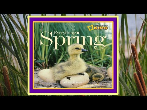 Everything Spring National Geographic Kids Read Aloud Book