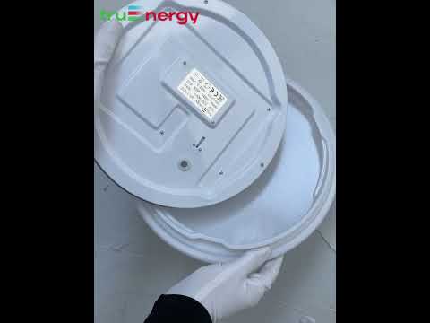 Миниатюра изображения товара Потолочный светильник Truenergy 11210