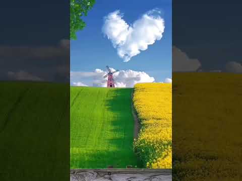 Viral Hashtags for Nature Photography #shorts #youtubeshorts