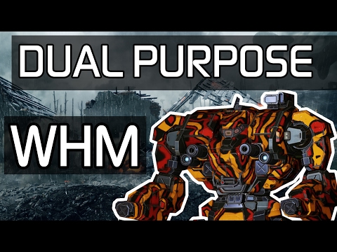 Black Widow — Snipy and brawly at the same time?