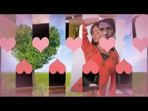 Gufrana Jasim raj mara