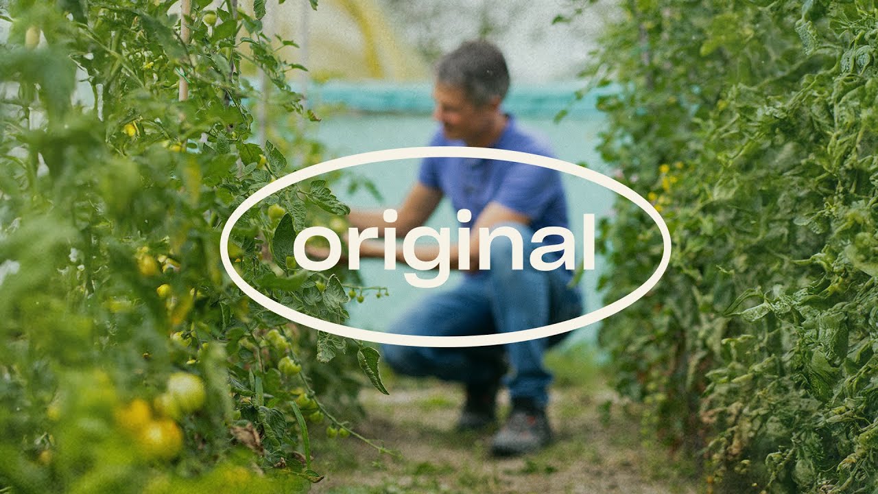 Video preview poster