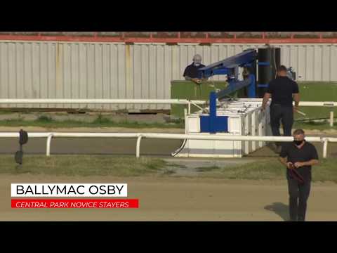 Ballymac Osby - Central Park Novice Stayers