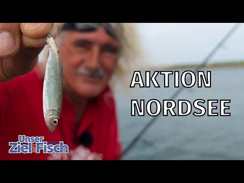 HARDLY ANYONE FISHES HERE: MYTH OF THE NORTH SEA - Our goal is fish with Jörg Ovens