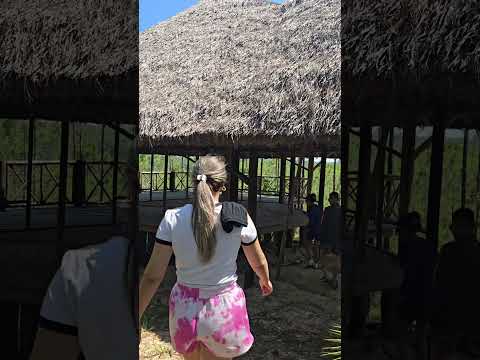 #RociodelSol #Guane #PinardelRio #Cuba