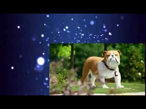 Hotel Hell Season 2 Episode 4