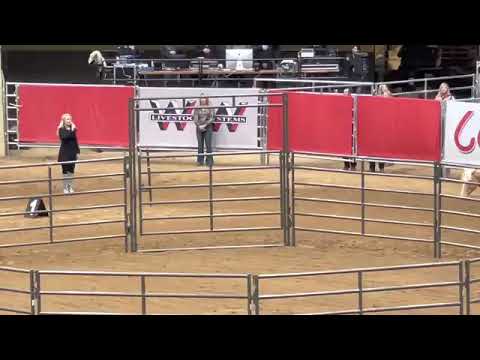 RTTH opening ceremonies