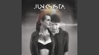Music video thumbnail preview for Burn Your Fucking House Down by Junksista