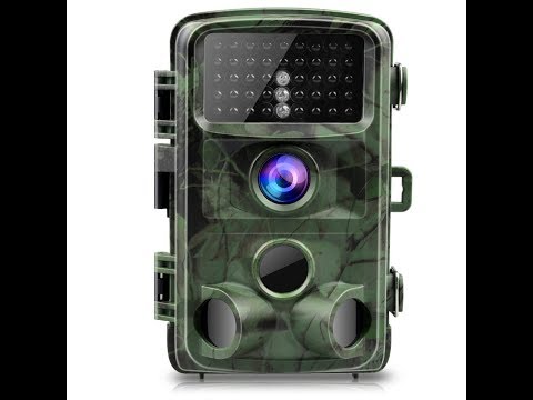 Toguard H45 Trail Camera 14MP 1080P – Desktop Reviews