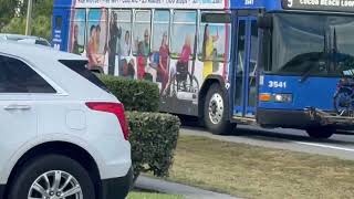 Space Coast Area Transit: Cocoa Beach Loop Route 9 Bus #3541 passing near Hilton Cocoa Beach