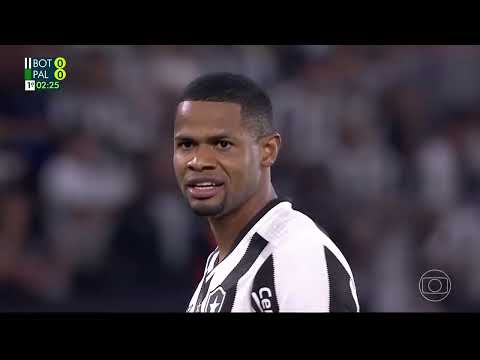 BOTAFOGO  1 X 0 PALMEIRAS O MELHOR JOGO DO BRASILEIRAO 2024 COMPLETO