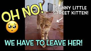 Leaving our little stray cat home alone for a week for the first time! (poor little kitten) Part One