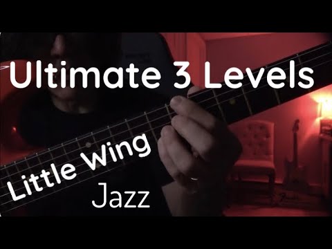 LITTLE WING Ultimate 3 Levels - 020