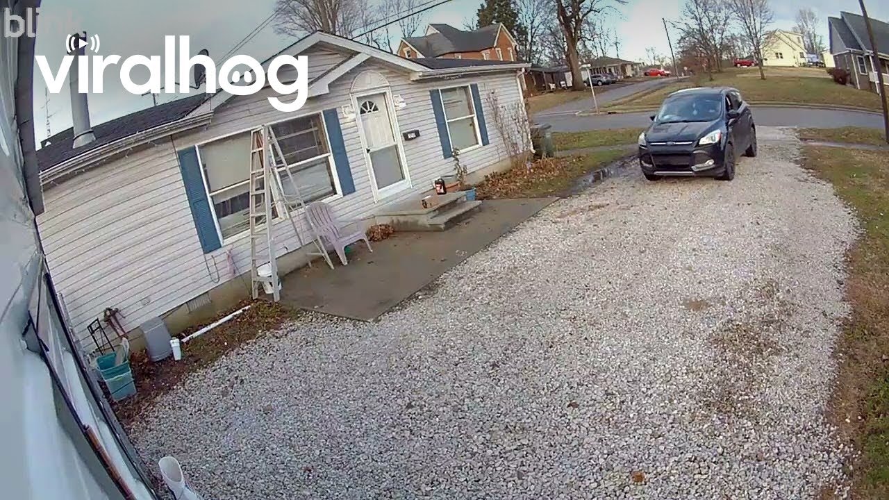 Amazon Delivery Driver Hitting My Barn and Taking Off || ViralHog