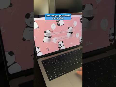 Cómo agregar una imagen de fondo en la página de inicio de safari 14 en macos