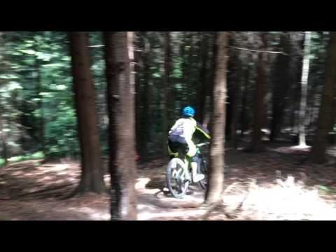 Koninki Gravity Park New / Kaspi