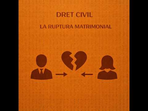 Ineficàcia i Dissolució del Matrimoni