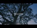Vanessa Carlton - Willows (Video Lirik)