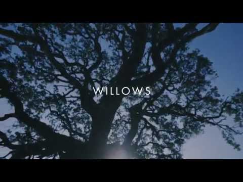 Vanessa Carlton - Willows [Lyric Video]