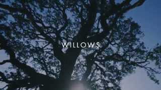 Willows Music Video