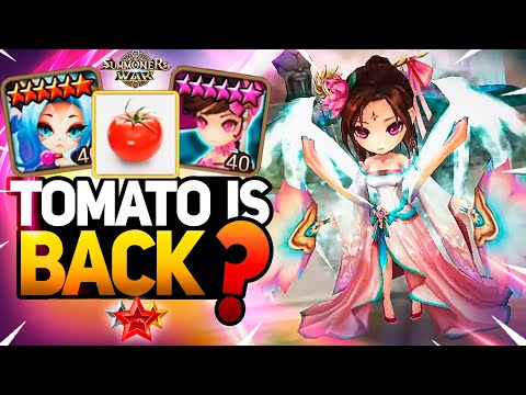 TOMATO IS BACK TO DESTROY Summoners War RTA