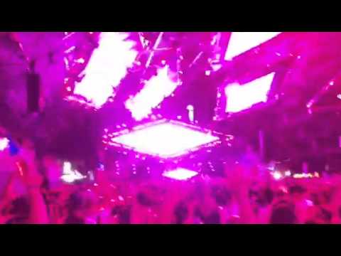 Morgan page Edc Vegas 2012