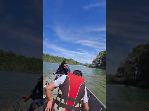 A GIGANTE cachoeira de Sulina Pr 😲🌳💚🌴...#NaturezaPura #rioiguaçu #reelsviral #videoviralシ #shorts