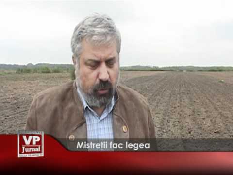 Mistreșii fac legea