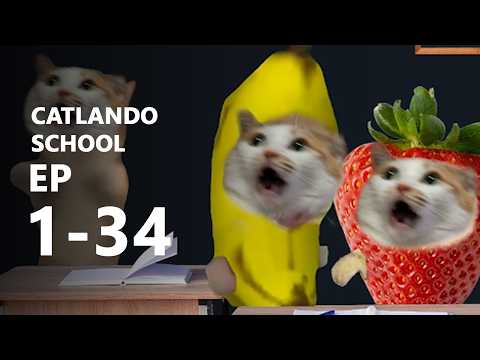 CATLANDO EP1-34  - BANANA CAT ANIMATION MOVIE KIDS FULL LONG LENGTH 😿 🦆 ❤️