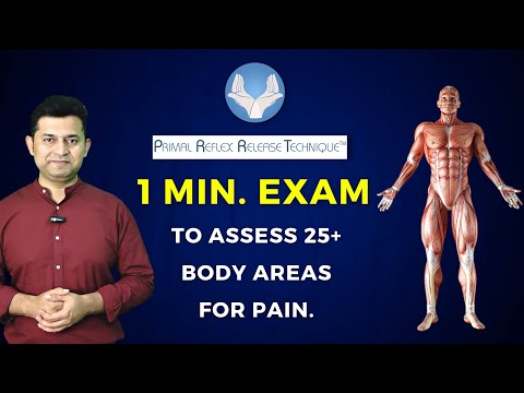 PRIMAL REFLEX RELEASE TECHNIQUES: 1 MIN. EXAM TO ASSESS 25+ BODY AREAS FOR PAIN.
