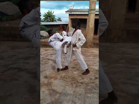 Taekwondo attaque définitive