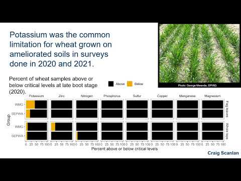 Nutrient management after soil amelioration