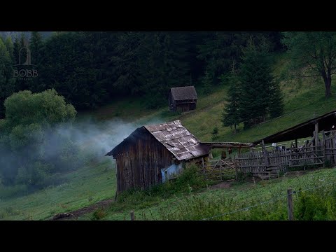 La stâna lui Lucian Duruian din Munții CARPAȚI | Ajung la stână la MIEZUL NOPȚI, printre URȘI - EP.1