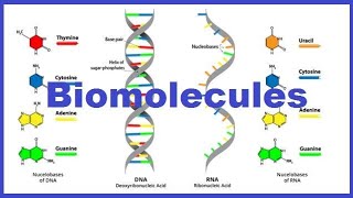 BIOMOLECULES: HOW TO ANALYSE CHEMICAL COMPOSITION?