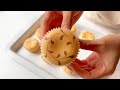 Spong Cupcake Chiffon Cupcake