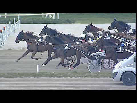 Napoli Trotto 19/02/2023 - 7ª corsa