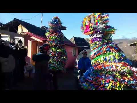 Caprele de Anul Nou com. Pânceşti jud. Bacău 2017-2018