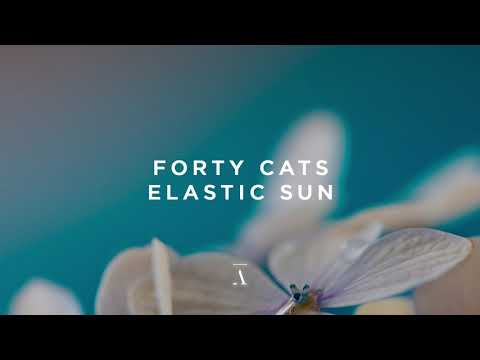 Forty Cats - Elastic Sun