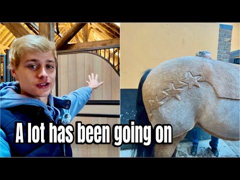 Big Changes at the Stables | Gaio’s Special Clip & Updates