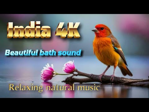 INDIA 4K FLYING OVER SLOVAKIA HD VIDEORELAXING NETURAL MUSIC