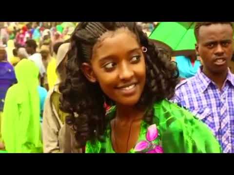 Birhanu Molla Wollo_Ethiopian_Cultural_Music