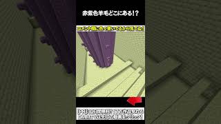 【マイクラ】赤紫色羊毛どここにあある！？ #マイクラ #マインクラフト #逃走中  #shorts